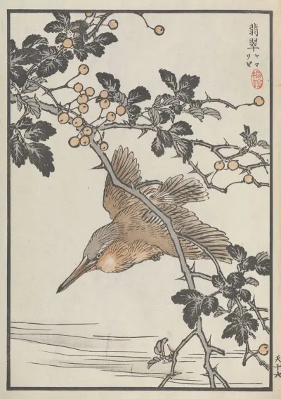 Bairei Hyakucho Gafu Ten Pl 31