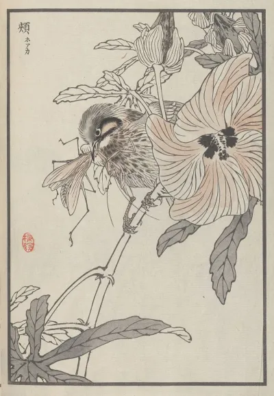 Bairei Hyakucho Gafu Ten Pl 36