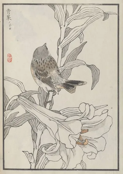 Bairei Hyakucho Gafu Ten Pl 40