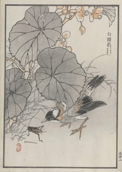 Bairei Hyakucho Gafu Ten Pl 41
