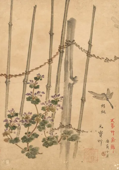 Bamboo Fence And Chrysanthemums