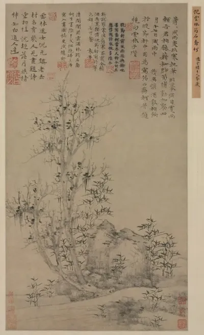 Bamboo Rock And Tall Tree