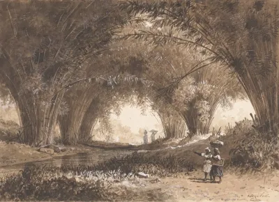 Bamboos St Ann