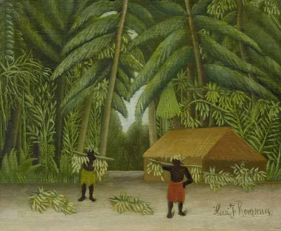 Banana Harvest