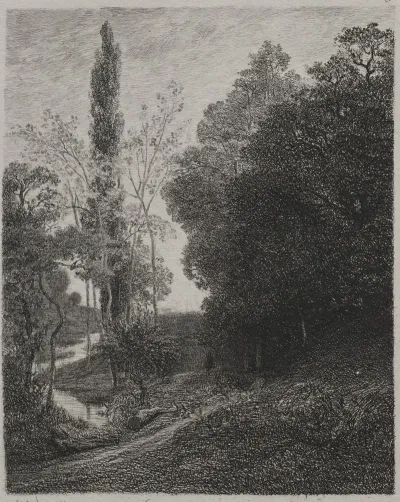 Banks Of The River Cousin