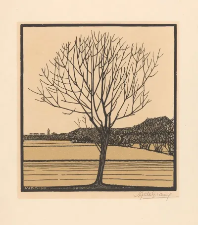 Bare Tree 2
