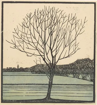 Bare Tree