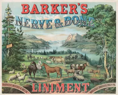 Barkers Nerve Bone Liniment