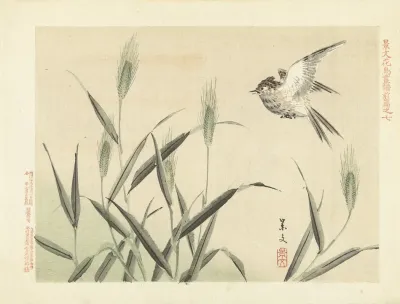 Barley And Skylark