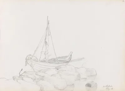Bat Arild