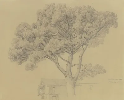 Baum Bei Einem Haus In Peschiera Del Garda