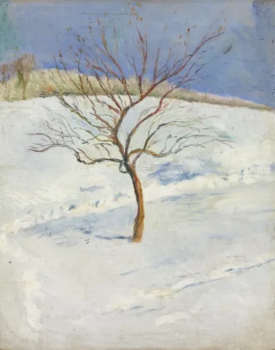 Baum In Verschneiter Landschaft