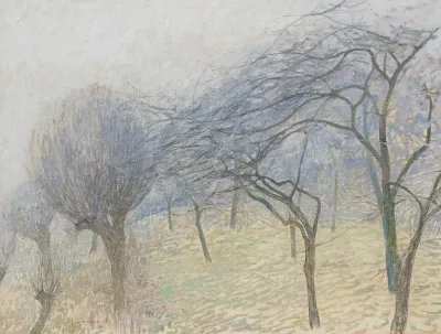Baume Im Nebel