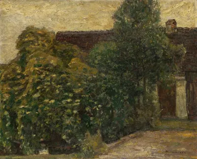 Baume Vor Dem Haus