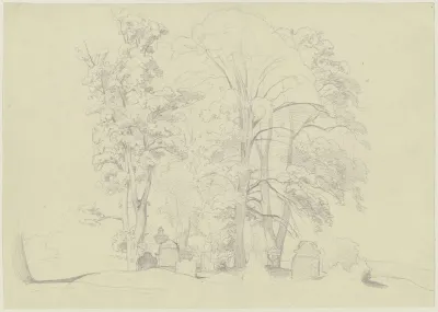 Baumgruppe Auf Einem Friedhof