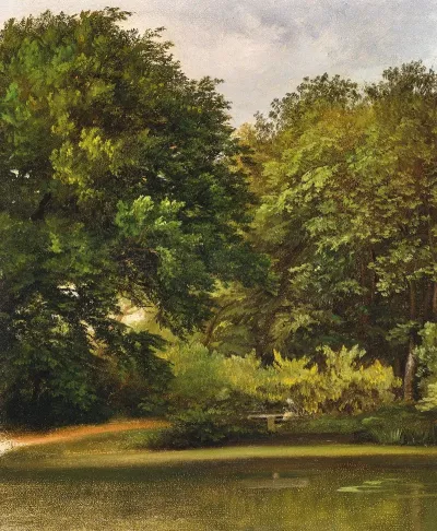 Baumgruppe Im Park
