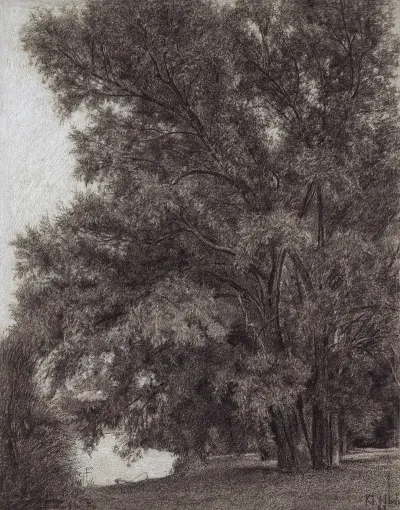 Baumgruppe Im Schlosspark Kleinheubach