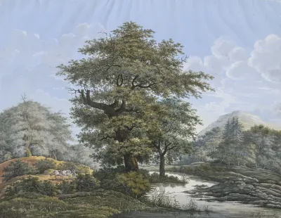 Baumreiche Landschaft In Der Mitte Eine Eiche Am Ufer Eines Flusses