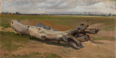 Baumstamme An Der Ziegelhutte