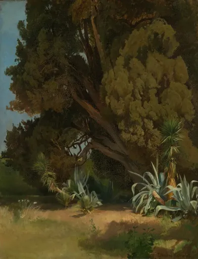 Baumstudie Aus Der Villa Deste In Tivoli
