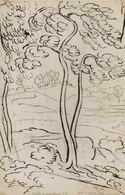 Baumstudie Vor Landschaft