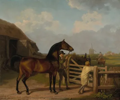 Bay Ascham A Stallion Led Through A Gate To A Mare