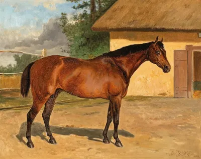 Bay Horse On The Paddock
