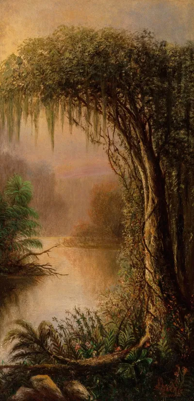 Bayou