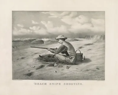 Beach Snipe Shooting