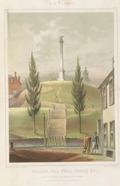 Beacon Hill From Derne St