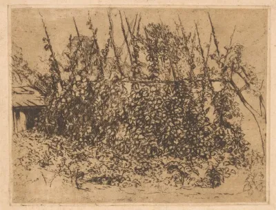 Beanstalks
