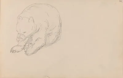 Bear 2
