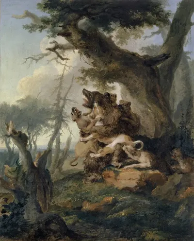 Bear Attacked By A Pack Of Hounds