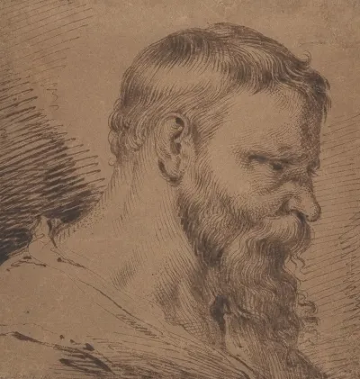 Bearded Head Looking Down To The Right