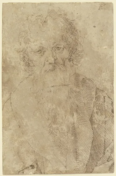 Bearded Old Man