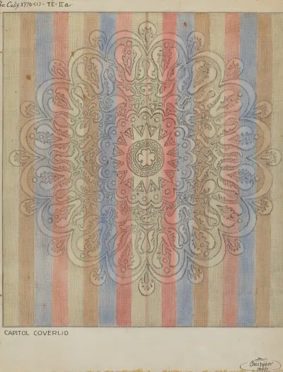 Bedspread 11