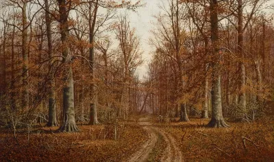 Beech Trees
