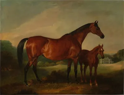 Beeswing Foal With Old Fort Beyond ﻿
