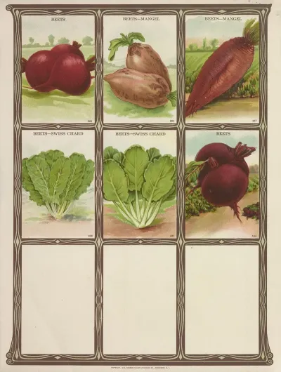 Beets 2