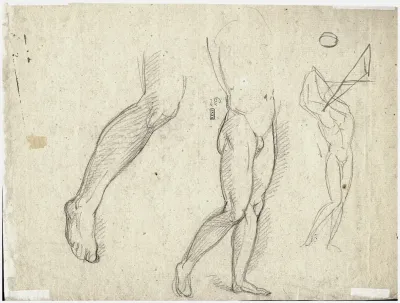 Benen Divers