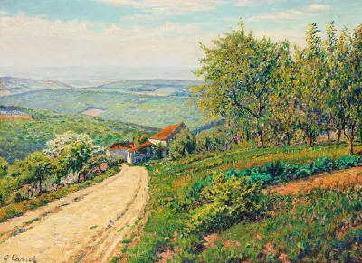 Berghang Mit Weg Durch Sommerlandschaft Ins Tal