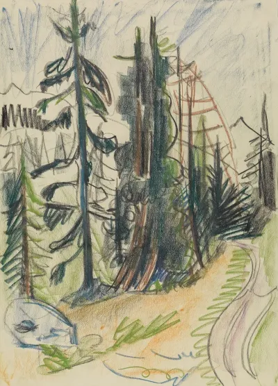 Bergtannen Und Weg
