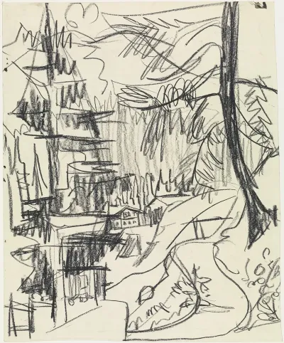 Bergwald Und Hutten