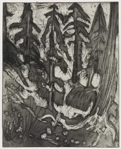 Bergwald