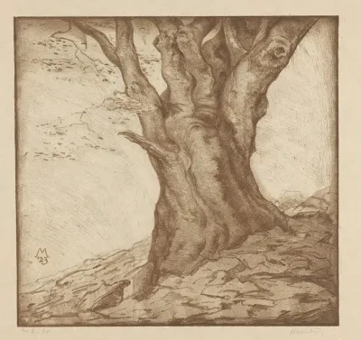 Beukenstam