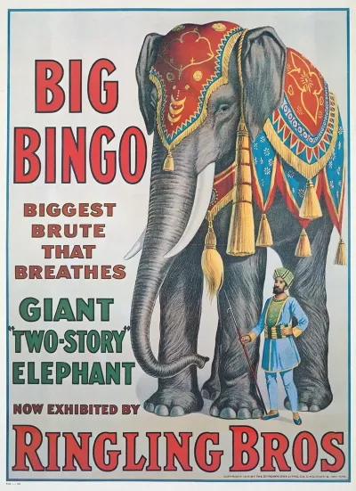 Big Bingo