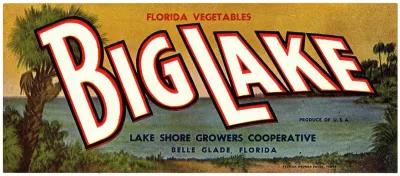 Big Lake Florida Vegetables Label