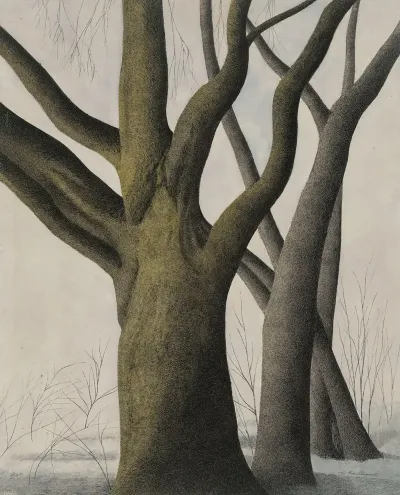Big Tree
