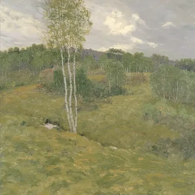 Birch Clad Hills