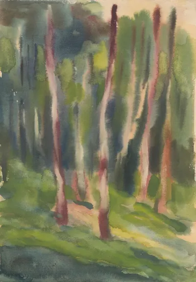 Birch Grove 2